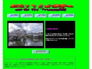 旅行・自然大好き＆写真も大好き