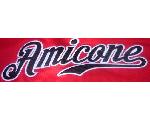 AMICONE アミコーネ