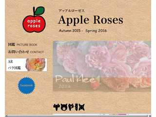 Apple Roses