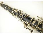 AVAクランClarinetのHP