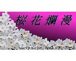 AVA　クラン：桜花爛漫　(仮）