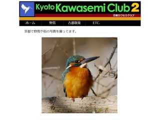 京都カワセミクラブ