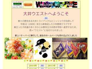 埼玉県東入間地区少年野球の連盟やチームのページです