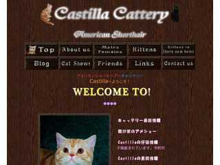 Castilla Cattery