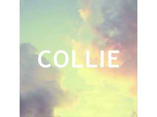 COLLIE official web site