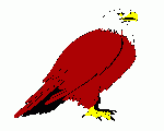 SuddenAttack【Red Eagle】Clan