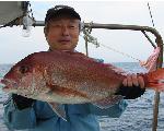 神奈川の海・釣り物語