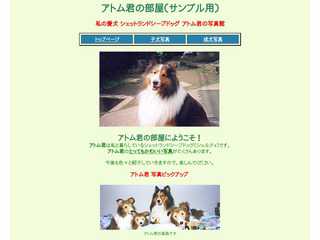 福島の犬猫の命を繋ぐバトンの会