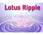 LotusRipple