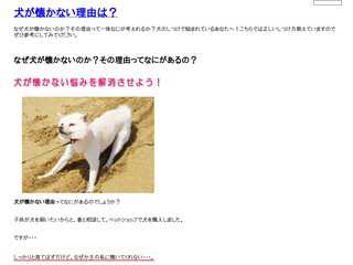 犬が懐かない理由は？正しいしつけ方教えています！