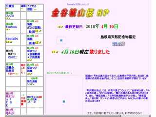 金谷城山桜HP