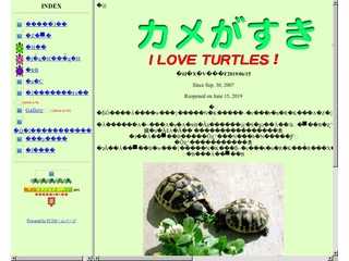 I Love Turtles!(カメが好き！)