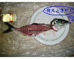 魚釣り秋田
