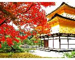 京都・奈良の文化を巡る