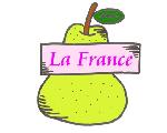機能下着のLa France