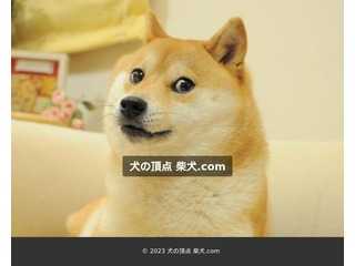 犬の頂点 柴犬.com