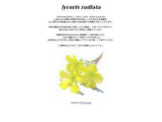 Lycoris radiata