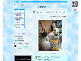 ネコto日なたぼっこ
