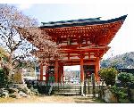 城は見るだけ…歩くだけ！日本の史跡