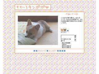 ももいろタンポポ