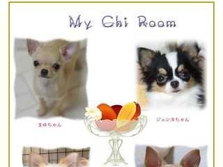 My Chi Room