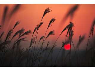 M.HIROK PHOTO WORLD