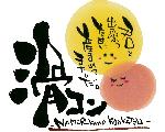 滑コン　- Namerikawa Konkatsu -