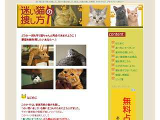 迷い猫の探し方