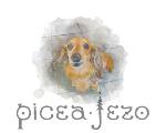 Picea-Jezo / 北海道小樽市銭函のドックカフェ・Picea-Jezo