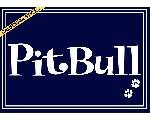 PitBull 4 Life