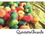 ☆☆　Quintetto Grande 　☆☆　Official　Web Site