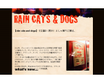 Rain Cats & Dogs