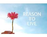 REASON TO LIVE