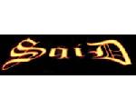 インディーズロックバンド『sqid』のホームページ