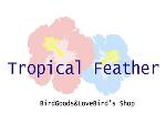 Tropical Feather