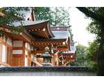 鶴崎神社公式ホームページ