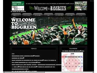 WELCOME TO BIGGREEN?北海道大学アメリカンフットボール部新歓特設サイト2011?