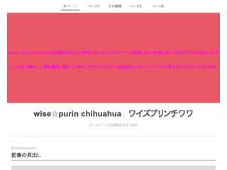 wise☆purin chihuahua  ワイズプリンチワワ