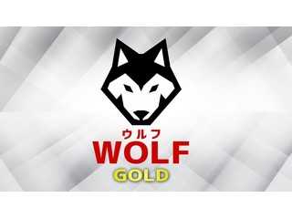 FX自動売買Wolf（ウルフ）