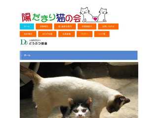 陽だまり猫の会
