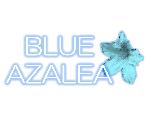 BLUE AZALEA　【本部】