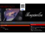 BOUGAINVILLEA-HP-