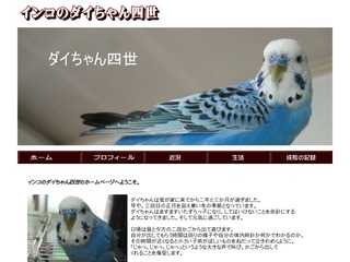 インコのダイちゃん4世