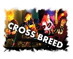 CROSS BREED Official Web Site