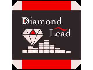 Diamond Lead Official Web Page