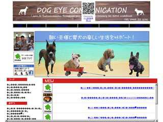 DOG eye