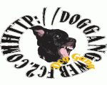 DOG GANG　犬の生食（生肉）販売