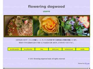 flowering dogwood 　はなみずき