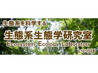 生態系生態学研究室_友常満利のホームページ