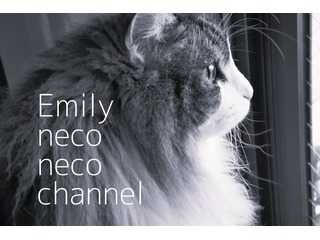 Emily neco neco channel